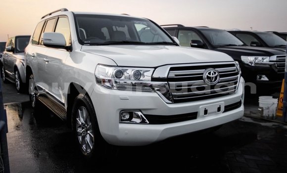 Buy Import Toyota Land Cruiser White Car in Import - Dubai in Al Jazirah State Buy Import Toyota Land Cruiser White Car in Import - Dubai in Al Jazirah State