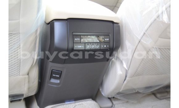 Buy Import Toyota Prado Other Car in Import - Dubai in Al Jazirah State Buy Import Toyota Prado Other Car in Import - Dubai in Al Jazirah State