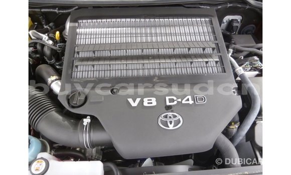 Buy Import Toyota Land Cruiser Other Car in Import - Dubai in Al Jazirah State Buy Import Toyota Land Cruiser Other Car in Import - Dubai in Al Jazirah State