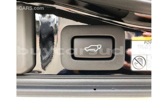 Buy Import Toyota Land Cruiser Black Car in Import - Dubai in Al Jazirah State Buy Import Toyota Land Cruiser Black Car in Import - Dubai in Al Jazirah State