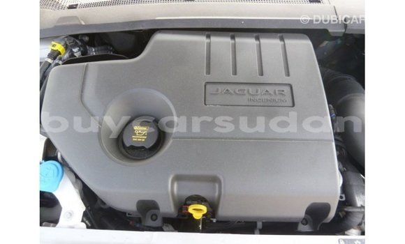 Buy Import Jaguar E-Pace White Car in Import - Dubai in Al Jazirah State Buy Import Jaguar E-Pace White Car in Import - Dubai in Al Jazirah State