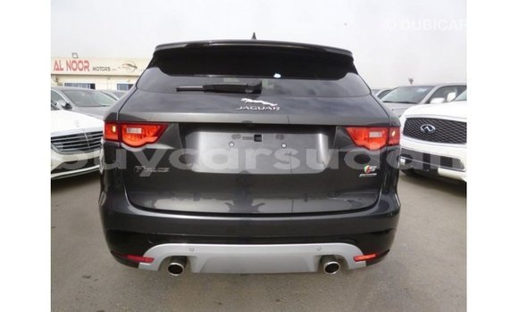 Buy Import Jaguar F-Type Black Car in Import - Dubai in Al Jazirah State Buy Import Jaguar F-Type Black Car in Import - Dubai in Al Jazirah State