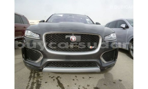 Buy Import Jaguar F-Type Black Car in Import - Dubai in Al Jazirah State Buy Import Jaguar F-Type Black Car in Import - Dubai in Al Jazirah State