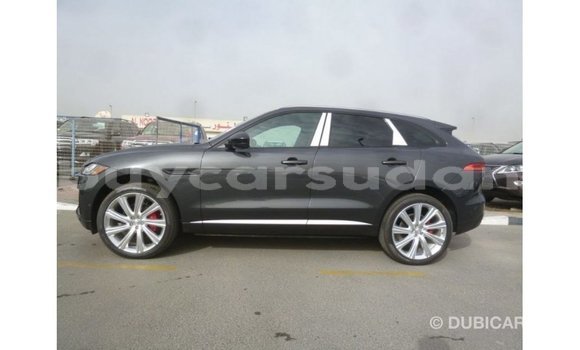 Buy Import Jaguar F-Type Black Car in Import - Dubai in Al Jazirah State Buy Import Jaguar F-Type Black Car in Import - Dubai in Al Jazirah State