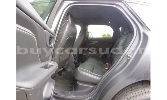 Buy Import Jaguar F-Type Black Car in Import - Dubai in Al Jazirah State Buy Import Jaguar F-Type Black Car in Import - Dubai in Al Jazirah State