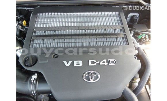 Buy Import Toyota Land Cruiser Black Car in Import - Dubai in Al Jazirah State Buy Import Toyota Land Cruiser Black Car in Import - Dubai in Al Jazirah State