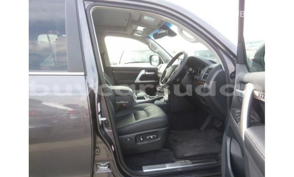 Buy Import Toyota Land Cruiser Other Car in Import - Dubai in Al Jazirah State Buy Import Toyota Land Cruiser Other Car in Import - Dubai in Al Jazirah State