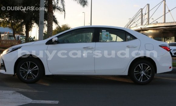 Buy Import Toyota Corolla White Car in Import - Dubai in Al Jazirah State Buy Import Toyota Corolla White Car in Import - Dubai in Al Jazirah State