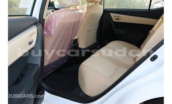 Buy Import Toyota Corolla White Car in Import - Dubai in Al Jazirah State Buy Import Toyota Corolla White Car in Import - Dubai in Al Jazirah State