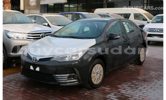 Buy Import Toyota Corolla Black Car in Import - Dubai in Al Jazirah State Buy Import Toyota Corolla Black Car in Import - Dubai in Al Jazirah State