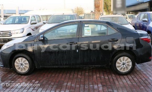 Buy Import Toyota Corolla Black Car in Import - Dubai in Al Jazirah State Buy Import Toyota Corolla Black Car in Import - Dubai in Al Jazirah State