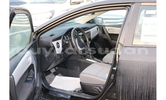 Buy Import Toyota Corolla Black Car in Import - Dubai in Al Jazirah State Buy Import Toyota Corolla Black Car in Import - Dubai in Al Jazirah State
