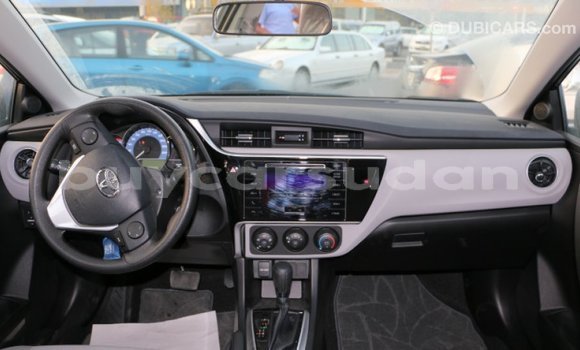 Buy Import Toyota Corolla Black Car in Import - Dubai in Al Jazirah State Buy Import Toyota Corolla Black Car in Import - Dubai in Al Jazirah State