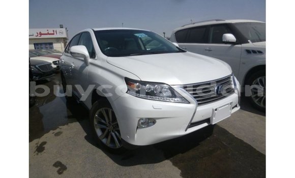 Buy Import Lexus RX White Car in Import - Dubai in Al Jazirah State Buy Import Lexus RX White Car in Import - Dubai in Al Jazirah State