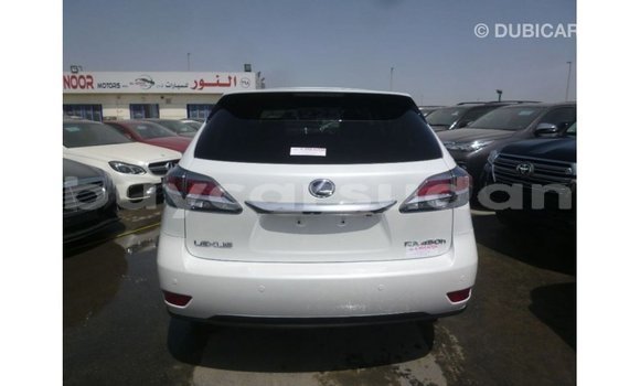 Buy Import Lexus RX White Car in Import - Dubai in Al Jazirah State Buy Import Lexus RX White Car in Import - Dubai in Al Jazirah State