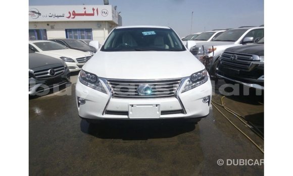 Buy Import Lexus RX White Car in Import - Dubai in Al Jazirah State Buy Import Lexus RX White Car in Import - Dubai in Al Jazirah State