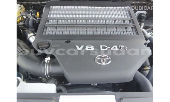 Buy Import Toyota Land Cruiser Blue Car in Import - Dubai in Al Jazirah State Buy Import Toyota Land Cruiser Blue Car in Import - Dubai in Al Jazirah State