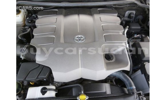 Buy Import Toyota Land Cruiser Other Car in Import - Dubai in Al Jazirah State Buy Import Toyota Land Cruiser Other Car in Import - Dubai in Al Jazirah State