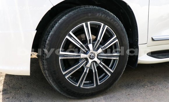 Buy Import Toyota Land Cruiser White Car in Import - Dubai in Al Jazirah State Buy Import Toyota Land Cruiser White Car in Import - Dubai in Al Jazirah State
