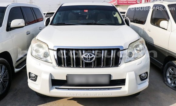 Buy Import Toyota Prado White Car in Import - Dubai in Al Jazirah State Buy Import Toyota Prado White Car in Import - Dubai in Al Jazirah State