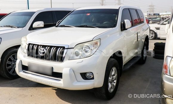 Buy Import Toyota Prado White Car in Import - Dubai in Al Jazirah State Buy Import Toyota Prado White Car in Import - Dubai in Al Jazirah State