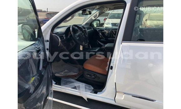 Buy Import Lexus LX White Car in Import - Dubai in Al Jazirah State Buy Import Lexus LX White Car in Import - Dubai in Al Jazirah State