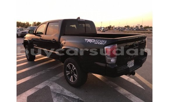 Buy Import Toyota Tacoma Black Car in Import - Dubai in Al Jazirah State Buy Import Toyota Tacoma Black Car in Import - Dubai in Al Jazirah State