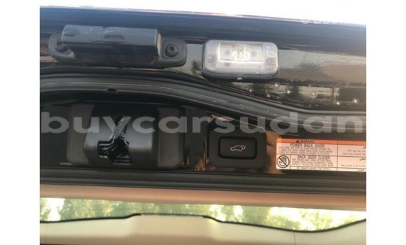 Buy Import Toyota Land Cruiser Black Car in Import - Dubai in Al Jazirah State Buy Import Toyota Land Cruiser Black Car in Import - Dubai in Al Jazirah State