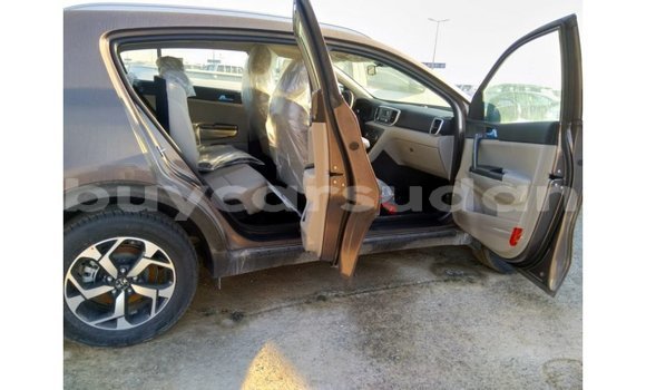 Buy Import Kia Sportage Brown Car in Import - Dubai in Al Jazirah State Buy Import Kia Sportage Brown Car in Import - Dubai in Al Jazirah State