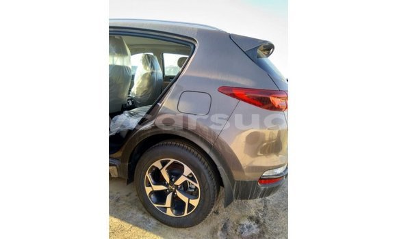 Buy Import Kia Sportage Brown Car in Import - Dubai in Al Jazirah State Buy Import Kia Sportage Brown Car in Import - Dubai in Al Jazirah State