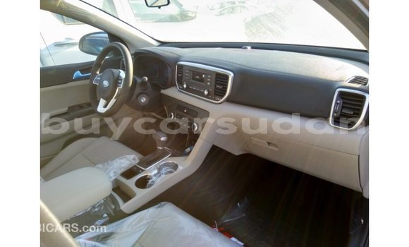 Buy Import Kia Sportage Brown Car in Import - Dubai in Al Jazirah State Buy Import Kia Sportage Brown Car in Import - Dubai in Al Jazirah State