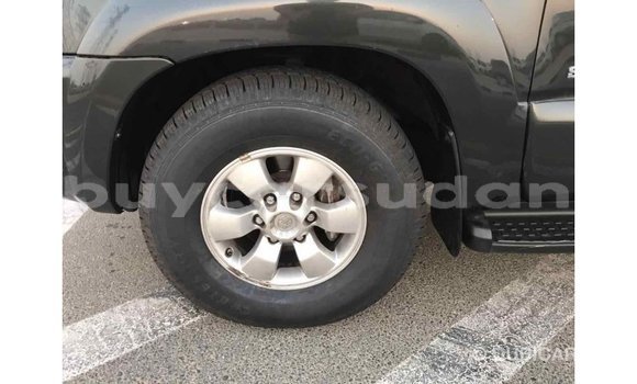 Buy Import Toyota HiAce Black Truck in Import - Dubai in Al Jazirah State Buy Import Toyota HiAce Black Truck in Import - Dubai in Al Jazirah State