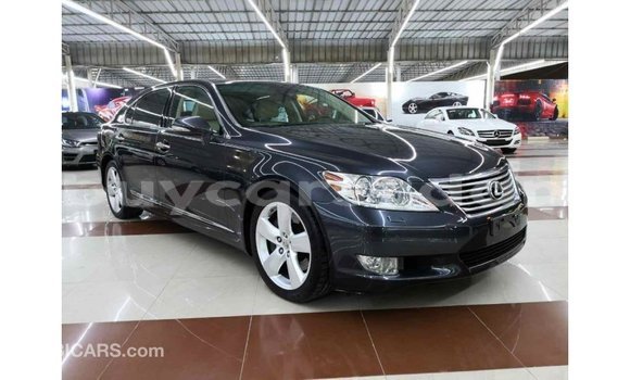 Buy Import Lexus LS Other Car in Import - Dubai in Al Jazirah State Buy Import Lexus LS Other Car in Import - Dubai in Al Jazirah State