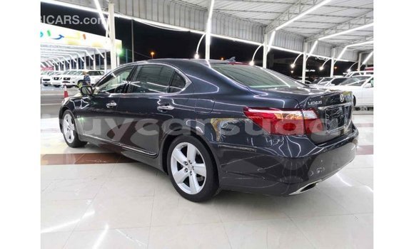 Buy Import Lexus LS Other Car in Import - Dubai in Al Jazirah State Buy Import Lexus LS Other Car in Import - Dubai in Al Jazirah State