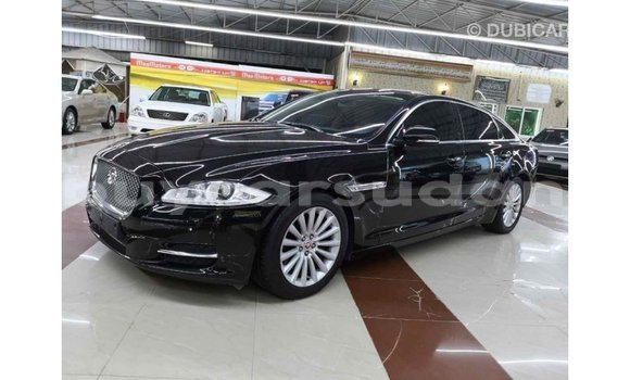 Buy Import Jaguar XJ Black Car in Import - Dubai in Al Jazirah State Buy Import Jaguar XJ Black Car in Import - Dubai in Al Jazirah State