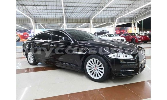 Buy Import Jaguar XJ Black Car in Import - Dubai in Al Jazirah State Buy Import Jaguar XJ Black Car in Import - Dubai in Al Jazirah State