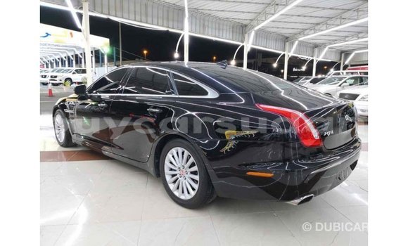 Buy Import Jaguar XJ Black Car in Import - Dubai in Al Jazirah State Buy Import Jaguar XJ Black Car in Import - Dubai in Al Jazirah State