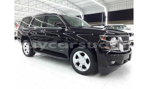 Buy Import Chevrolet Tahoe Black Car in Import - Dubai in Al Jazirah State Buy Import Chevrolet Tahoe Black Car in Import - Dubai in Al Jazirah State