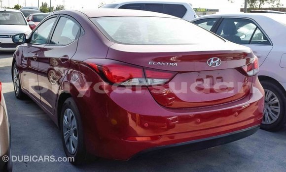Buy Import Hyundai Elantra Red Car in Import - Dubai in Al Jazirah State Buy Import Hyundai Elantra Red Car in Import - Dubai in Al Jazirah State