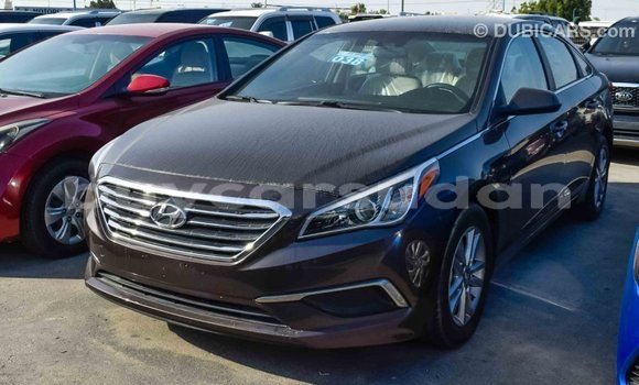 Buy Import Hyundai Sonata Brown Car in Import - Dubai in Al Jazirah State Buy Import Hyundai Sonata Brown Car in Import - Dubai in Al Jazirah State