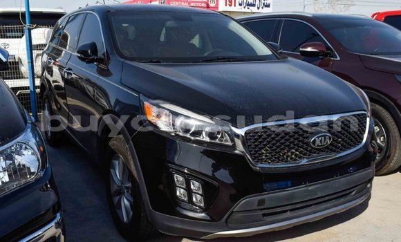 Buy Import Kia Sorento Black Car in Import - Dubai in Al Jazirah State Buy Import Kia Sorento Black Car in Import - Dubai in Al Jazirah State