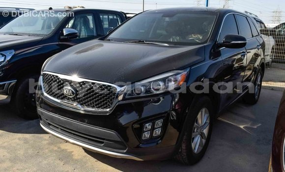 Buy Import Kia Sorento Black Car in Import - Dubai in Al Jazirah State Buy Import Kia Sorento Black Car in Import - Dubai in Al Jazirah State