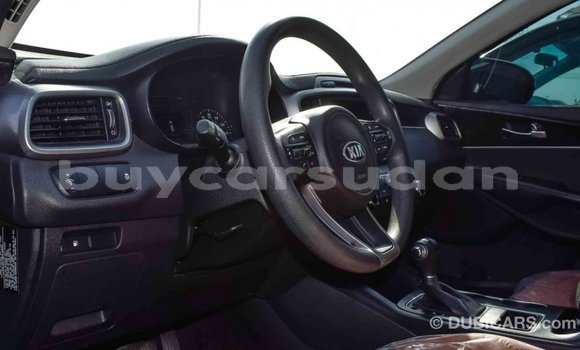 Buy Import Kia Sorento Black Car in Import - Dubai in Al Jazirah State Buy Import Kia Sorento Black Car in Import - Dubai in Al Jazirah State