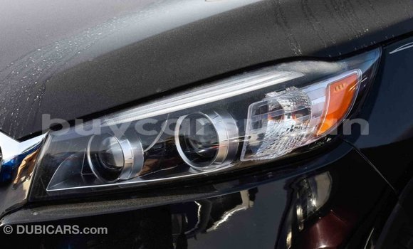 Buy Import Kia Sorento Black Car in Import - Dubai in Al Jazirah State Buy Import Kia Sorento Black Car in Import - Dubai in Al Jazirah State