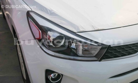 Buy Import Kia Carens White Car in Import - Dubai in Al Jazirah State Buy Import Kia Carens White Car in Import - Dubai in Al Jazirah State
