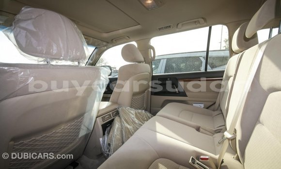 Buy Import Toyota Land Cruiser Black Car in Import - Dubai in Al Jazirah State Buy Import Toyota Land Cruiser Black Car in Import - Dubai in Al Jazirah State