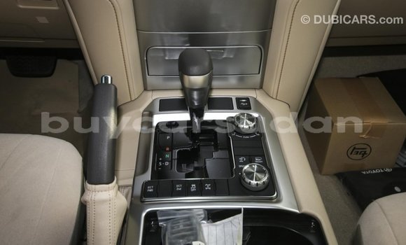 Buy Import Toyota Land Cruiser Black Car in Import - Dubai in Al Jazirah State Buy Import Toyota Land Cruiser Black Car in Import - Dubai in Al Jazirah State