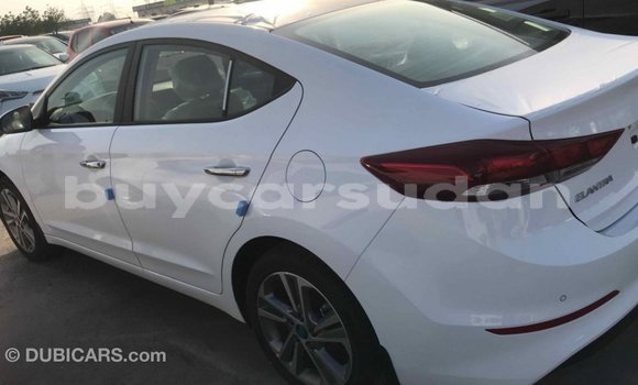 Buy Import Hyundai Elantra White Car in Import - Dubai in Al Jazirah State Buy Import Hyundai Elantra White Car in Import - Dubai in Al Jazirah State