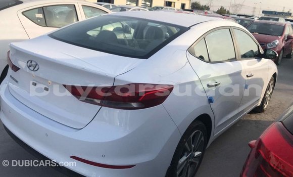 Buy Import Hyundai Elantra White Car in Import - Dubai in Al Jazirah State Buy Import Hyundai Elantra White Car in Import - Dubai in Al Jazirah State