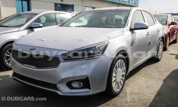 Buy Import Kia Cadenza Other Car in Import - Dubai in Al Jazirah State Buy Import Kia Cadenza Other Car in Import - Dubai in Al Jazirah State